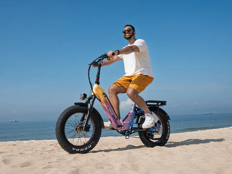 Heybike Ranger 3.0 Pro Limited Miami Sunset Electric Bicycle 750W Motor 28 mph 720Wh Battery