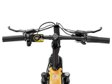 Heybike Ranger 3.0 Pro Limited Miami Sunset Electric Bicycle 750W Motor 28 mph 720Wh Battery