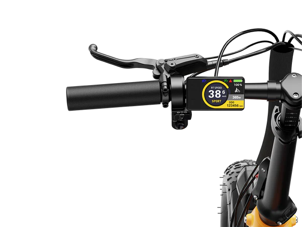 Heybike Ranger 3.0 Pro Limited Miami Sunset Electric Bicycle 750W Motor 28 mph 720Wh Battery