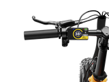 Heybike Ranger 3.0 Pro Limited Miami Sunset Electric Bicycle 750W Motor 28 mph 720Wh Battery