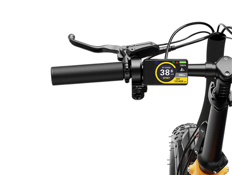 Heybike Ranger 3.0 Pro Limited Miami Sunset Electric Bicycle 750W Motor 28 mph 720Wh Battery