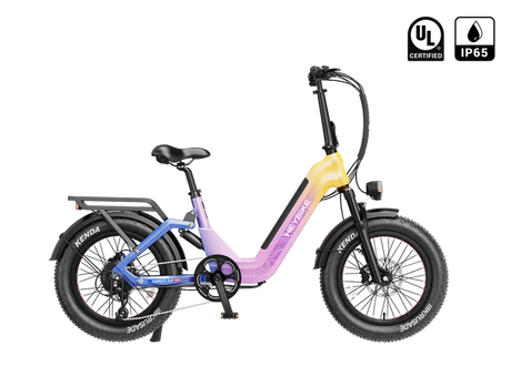 Heybike Ranger 3.0 Pro Limited Miami Sunset Electric Bicycle 750W Motor 28 mph 720Wh Battery