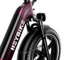 Heybike Ranger S Folding Electric Bicycle 1000W Motor 28 mph 48V 14.4Ah Battery