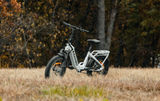 Rambo Ranger Folding E-Bike Up to 30 MPH 750W 48V 10.4Ah