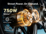 Heybike Titan Moped-Style Electric Bike – 750W, 20 MPH, 80-Mile Range
