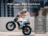 Heybike Titan Moped-Style Electric Bike – 750W, 20 MPH, 80-Mile Range