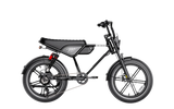 Heybike Titan Moped-Style Electric Bike – 750W, 20 MPH, 80-Mile Range