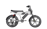 Heybike Titan Moped-Style Electric Bike – 750W, 20 MPH, 80-Mile Range