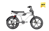 Heybike Titan Moped-Style Electric Bike – 750W, 20 MPH, 80-Mile Range