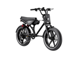 Heybike Titan Moped-Style Electric Bike – 750W, 20 MPH, 80-Mile Range
