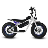 Golden Cycles 16" Big Boy Electric Bicycle 350W Motor Top speed -19 mph, 36V 10Ah Battery