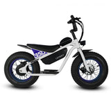 Golden Cycles Big Boy 16-Inch Electric Fat-Tire Bike – 350W, 19 MPH, 36V 10Ah Battery