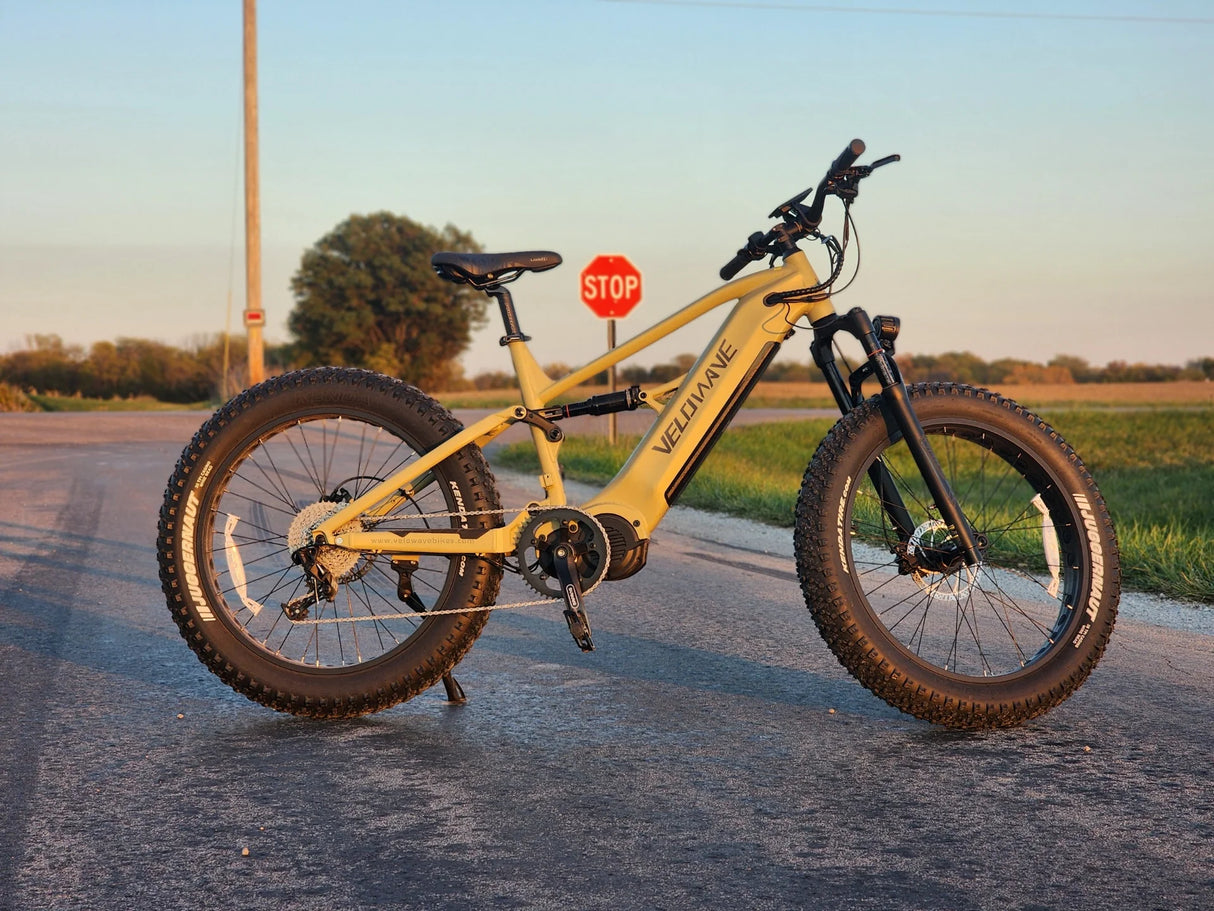 Velowave Brawny XM Up to 37 MPH 1000W 48V 20Ah Full Suspension Electric Mountain Bike