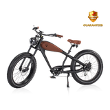 Revi Bikes Cheetah (new) Electric Bicycle 750W Motor 28 mph 48V 17.5Ah Battery