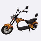 M1 2 Seater 2000W 30Ah Citycoco Electric Scooter