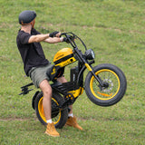HappyRun G100 Pro Dual-Battery Electric Bike 1000W Motor 28 mph 48V 30Ah Battery