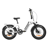 Rambo Ranger Folding E-Bike Up to 30 MPH 750W 48V 10.4Ah