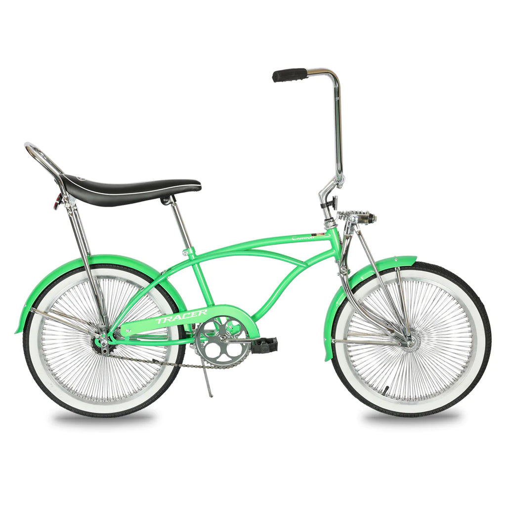 Mint Green stretch beach cruiser  Beach cruiser bikes, Cruiser