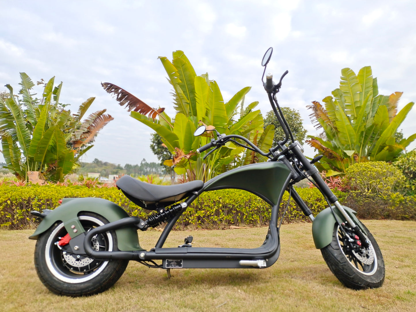 M1P Fat Tire Electric Citycoco Scooter