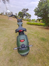 M1P Fat Tire Electric Citycoco Scooter