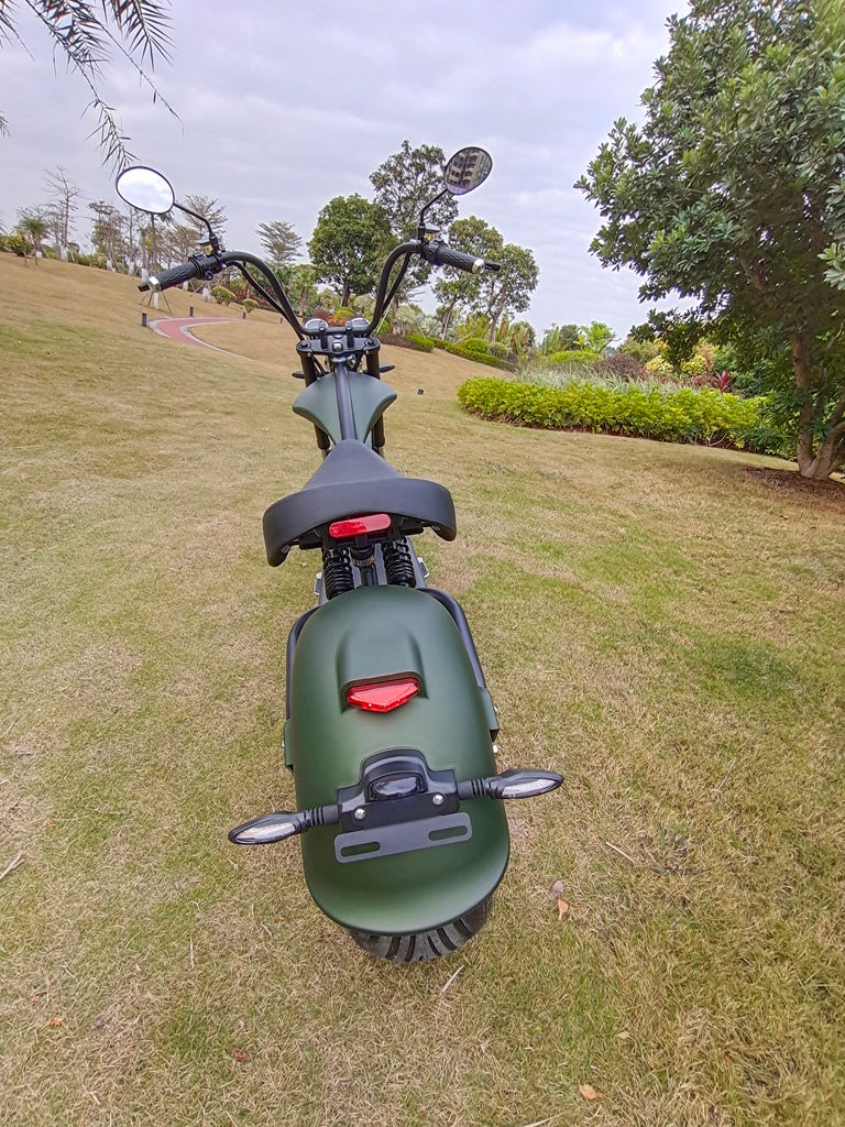 M1P Fat Tire Electric Citycoco Scooter