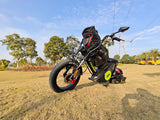 M6G Electric Golf Cart Scooter