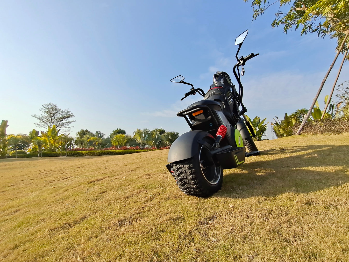 M6G Electric Golf Cart Scooter 