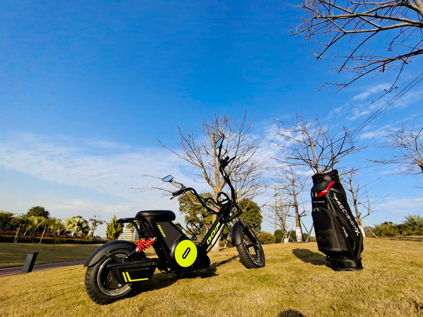 M6G Electric Golf Cart Scooter 