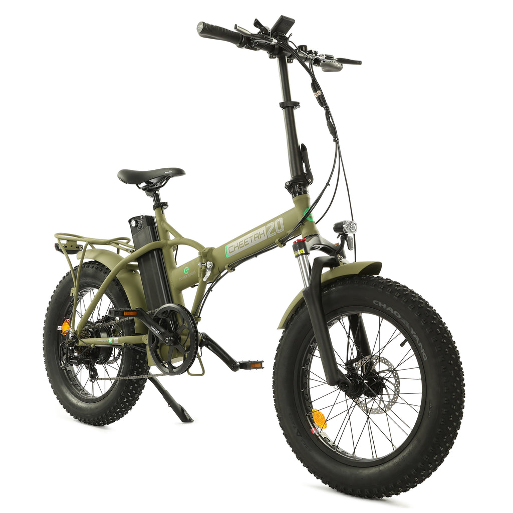 Ecotric 48V Fat Tire Portable and Folding Electric Bike with Color LCD Display - Green