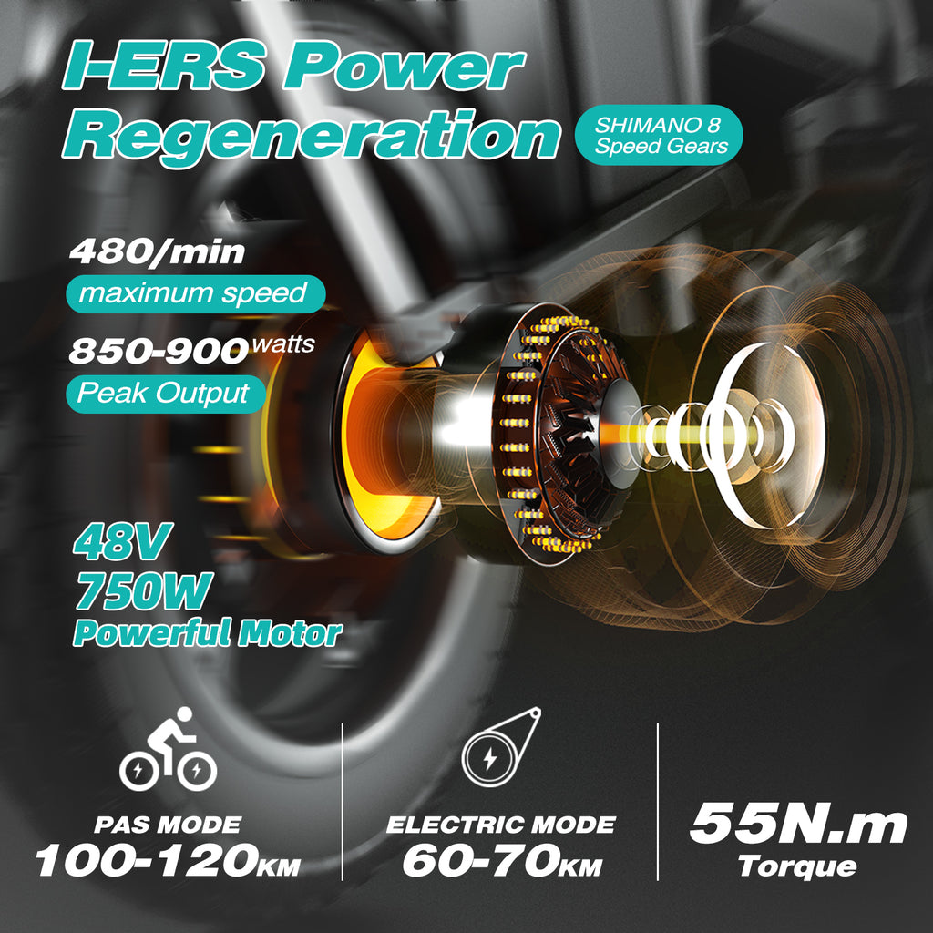 ENGWE Engine Pro | 750w High Performance Electric Bike
