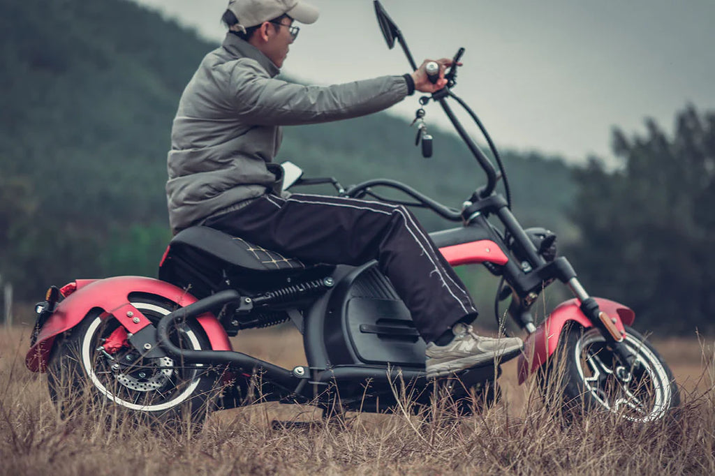 Eahora Emoto M8 Electric Scooter - | Bike Lover USA