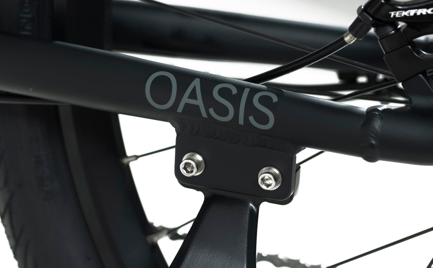 Revibikes Oasis - Step Thru | Bike Lover USA