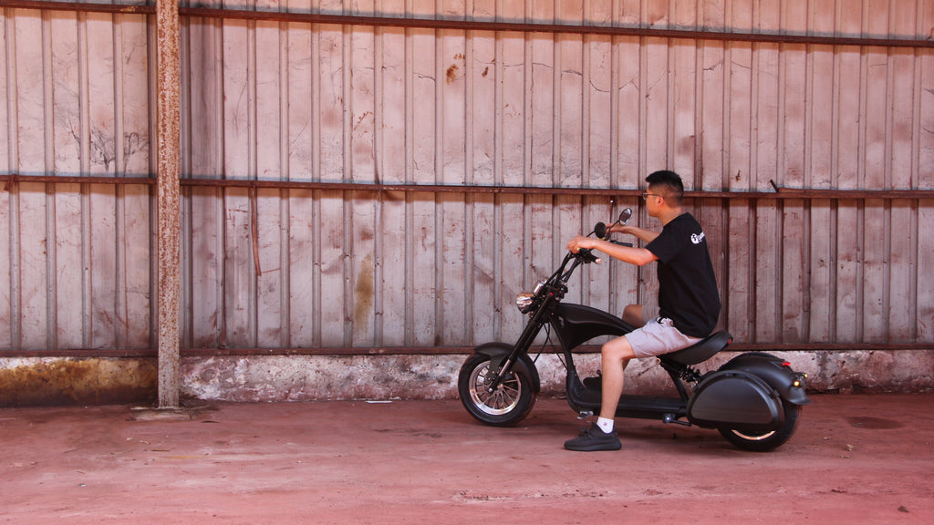 M1P Fat Tire Electric Citycoco Scooter
