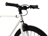 Golden Cycles GC-Shocker Single Speed Road Bike Steel Frame 700c Wheels Flip-Flop Hub
