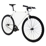 Golden Cycles GC-Shocker Single Speed Road Bike Steel Frame 700c Wheels Flip-Flop Hub