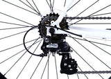 Golden Cycles - Velo 7 - White