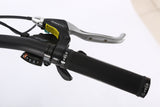 X-Treme Catalina 48V Electric Step-Through Beach Cruiser Bicycle 500W Rear Hub Motor 25 mph 48V 10.4Ah LiFePO4 Battery