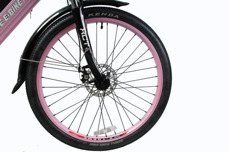 X-Treme Catalina 48V Electric Step-Through Beach Cruiser Bicycle 500W Rear Hub Motor 25 mph 48V 10.4Ah LiFePO4 Battery