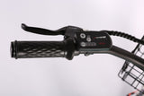 X-Treme Malibu Elite Max 36V Beach Cruiser Electric Bike 350W Rear Hub Motor 20 mph 36V 10Ah LiFePO4 Battery