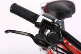 X-Treme Newport Elite Max 36V Beach Cruiser Electric Bike 350W Rear Hub Motor Up to 20 mph 36V 10Ah LiFePO4 Battery