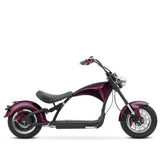 M1P Fat Tire Electric Citycoco Scooter
