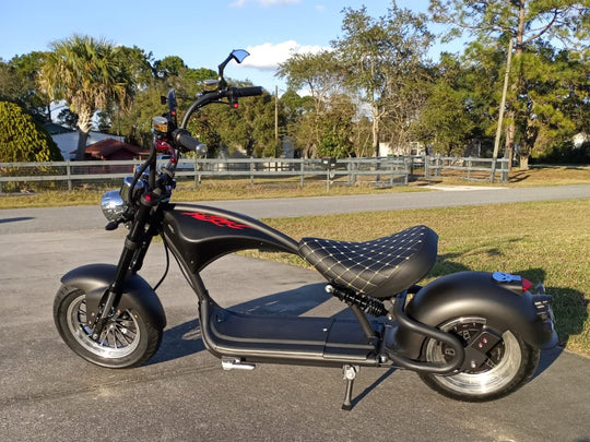 Eahora Emars M1P Electric Scooter | Bike Lover USA